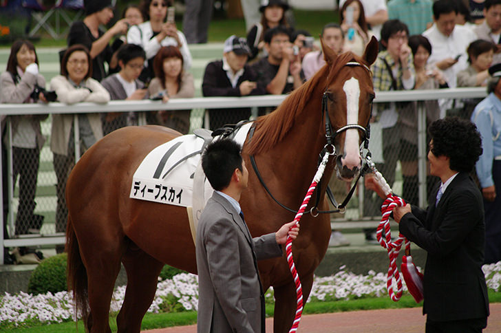 一口馬主を諦めた方に朗報 馬主と一口馬主の違いとは なり方 資格 年間コスト 収入を知りたい方必見 馬uma サポート