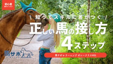 ☆お馬さん大好きな食べ物ランキング☆ 幸せな馬を増やすための方法 